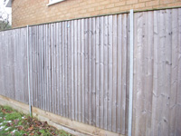 Close board panels with galvanised steel posts